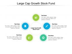 Large cap growth stock fund ppt powerpoint presentation slides template cpb