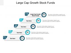 Large cap growth stock funds ppt powerpoint presentation gallery infographics cpb