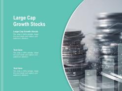 Large cap growth stocks ppt powerpoint presentation slides good cpb