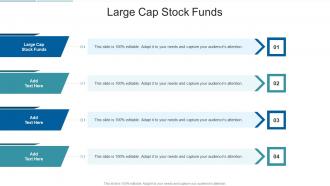 Large Cap Stock Funds In Powerpoint And Google Slides Cpb