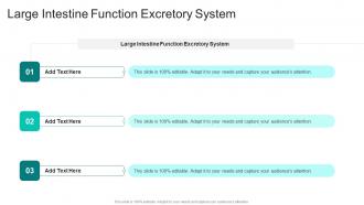 Large Intestine Function Excretory System In Powerpoint And Google Slides Cpb