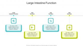 Large Intestine Function In Powerpoint And Google Slides Cpb