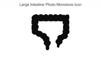 Large Intestine Photo Monotone Icon In Powerpoint Pptx Png And Editable Eps Format