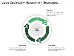 Large opportunity management segmenting targeting positioning opportunity development