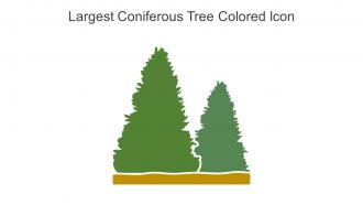 Largest Coniferous Tree Colored Icon In Powerpoint Pptx Png And Editable Eps Format