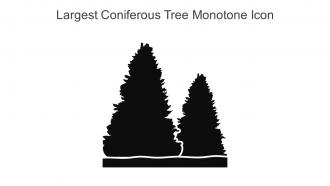Largest Coniferous Tree Monotone Icon In Powerpoint Pptx Png And Editable Eps Format