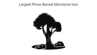 Largest Pinus Bonsai Monotone Icon In Powerpoint Pptx Png And Editable Eps Format