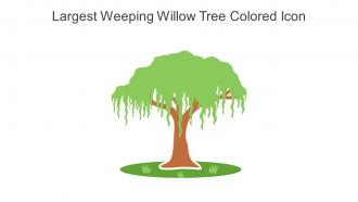 Largest Weeping Willow Tree Colored Icon In Powerpoint Pptx Png And Editable Eps Format