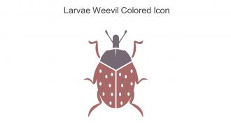 Larvae Weevil Colored Icon In Powerpoint Pptx Png And Editable Eps Format