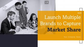 Launch Multiple Brands To Capture Market Share Branding CD V