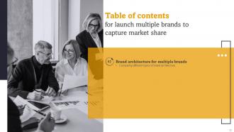 Launch Multiple Brands To Capture Market Share Branding CD V Idea Pre-designed