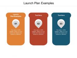 Launch plan examples ppt powerpoint presentation styles background images cpb