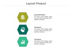 Launch product ppt powerpoint presentation gallery slides cpb