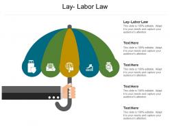 Lay labor law ppt powerpoint presentation pictures display cpb