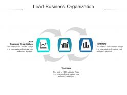 Lead business organization ppt powerpoint presentation gallery images cpb