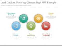 Lead Capture Nurturing Cleanse Deal Ppt Example