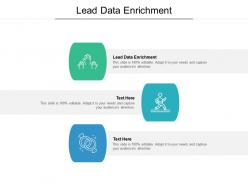 Lead data enrichment ppt powerpoint presentation ideas picture cpb