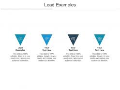 Lead examples ppt powerpoint presentation infographic template inspiration cpb