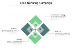 Lead nurturing campaign ppt powerpoint presentation gallery pictures cpb