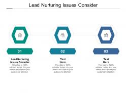 Lead nurturing issues consider ppt powerpoint presentation model example cpb