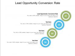 Lead opportunity conversion rate ppt powerpoint presentation professional example file cpb