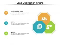 Lead qualification criteria ppt powerpoint presentation styles professional cpb