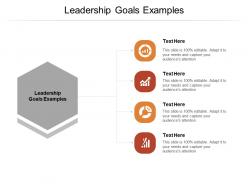 Leadership goals examples ppt powerpoint presentation icon background designs cpb