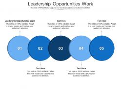 Leadership opportunities work ppt powerpoint presentation styles visuals cpb