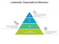 Leadership organizational behaviour ppt powerpoint presentation show design templates cpb