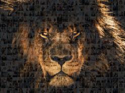 Leadership slide photo mosaic lion collage ppt ideas