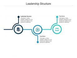 Leadership structure ppt powerpoint presentation file examples cpb