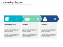 Leadership support ppt powerpoint presentation infographics styles cpb