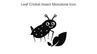 Leaf Cricket Insect Monotone Icon In Powerpoint Pptx Png And Editable Eps Format