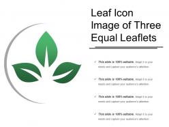 Leaf icon image of three equal leaflets