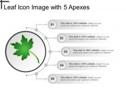 Leaf icon image with 5 apexes