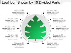 Leaf icon shown by 10 divided parts