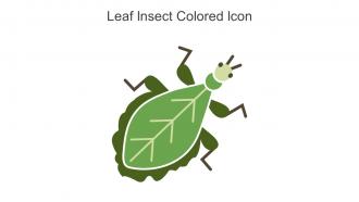 Leaf Insect Colored Icon In Powerpoint Pptx Png And Editable Eps Format ...