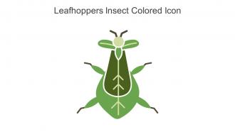 Leafhoppers Insect Colored Icon In Powerpoint Pptx Png And Editable Eps Format