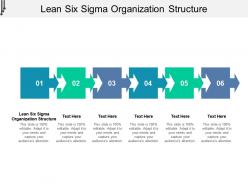 Lean six sigma organization structure ppt powerpoint presentation slides example cpb
