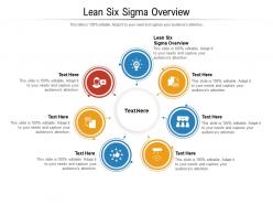 Lean six sigma overview ppt powerpoint presentation infographics background image cpb