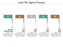 Lean six sigma process ppt powerpoint presentation professional slide portrait cpb