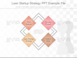 Lean startup strategy ppt example file