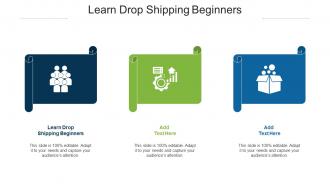 Learn Drop Shipping Beginners Ppt Powerpoint Presentation Backgrounds Cpb