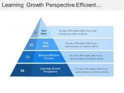 Learning growth perspective efficient effective process create capability