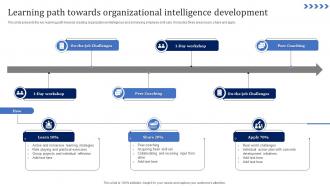 Learning Path Towards Organizational Intelligence Development