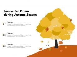 Leaves fall down during autumn season