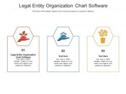 Legal entity organization chart software ppt powerpoint presentation gallery cpb