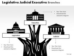 Legislative judicial executive powerpoint presentation slides