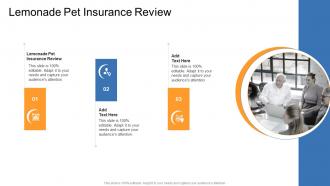 Lemonade Pet Insurance Review In Powerpoint And Google Slides Cpb