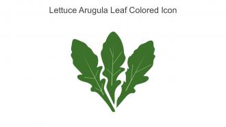 Lettuce Arugula Leaf Colored Icon In Powerpoint Pptx Png And Editable Eps Format